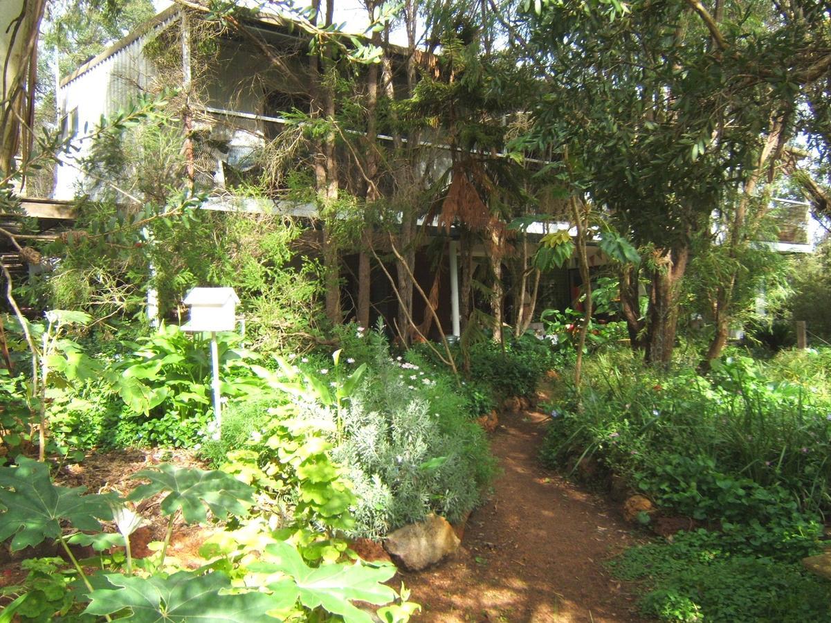 Whispering Pines Bed&Breakfast Collie Exterior foto